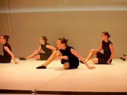 atel-choregr-220-_mg_1655